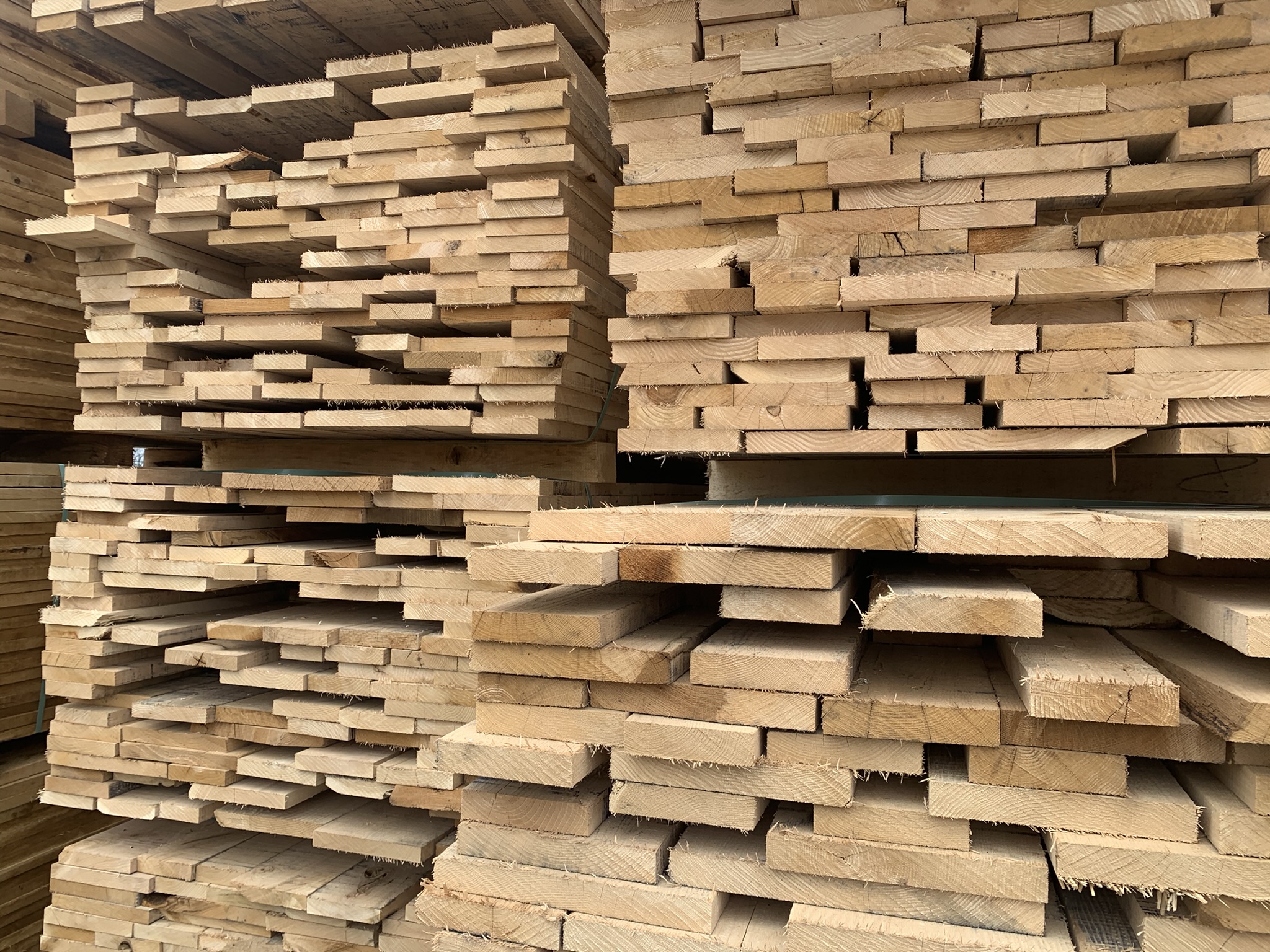 Buying Standing Timber Maple Rapids Lumber Mill, Inc.